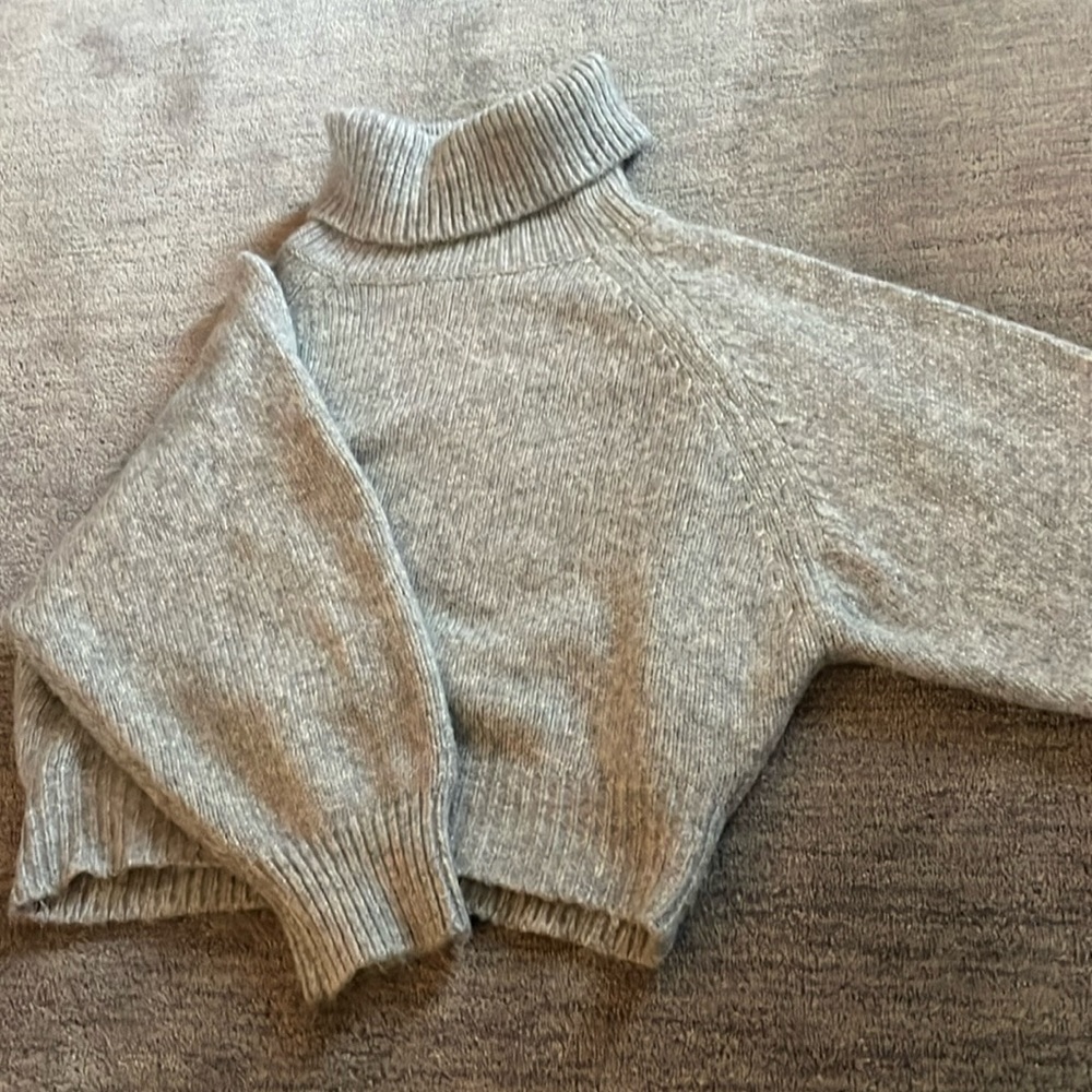 Small oversized cropped turtle neck